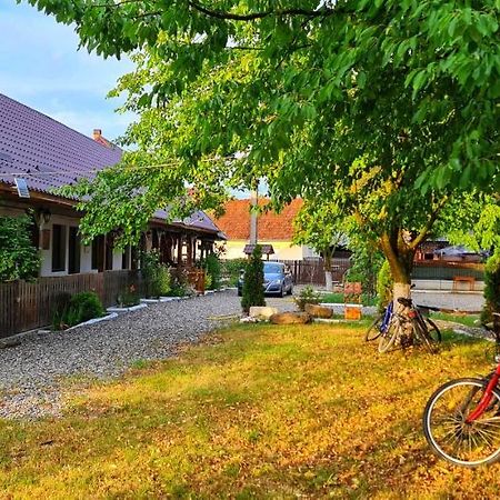 La Romaneasa Săpînţa エクステリア 写真