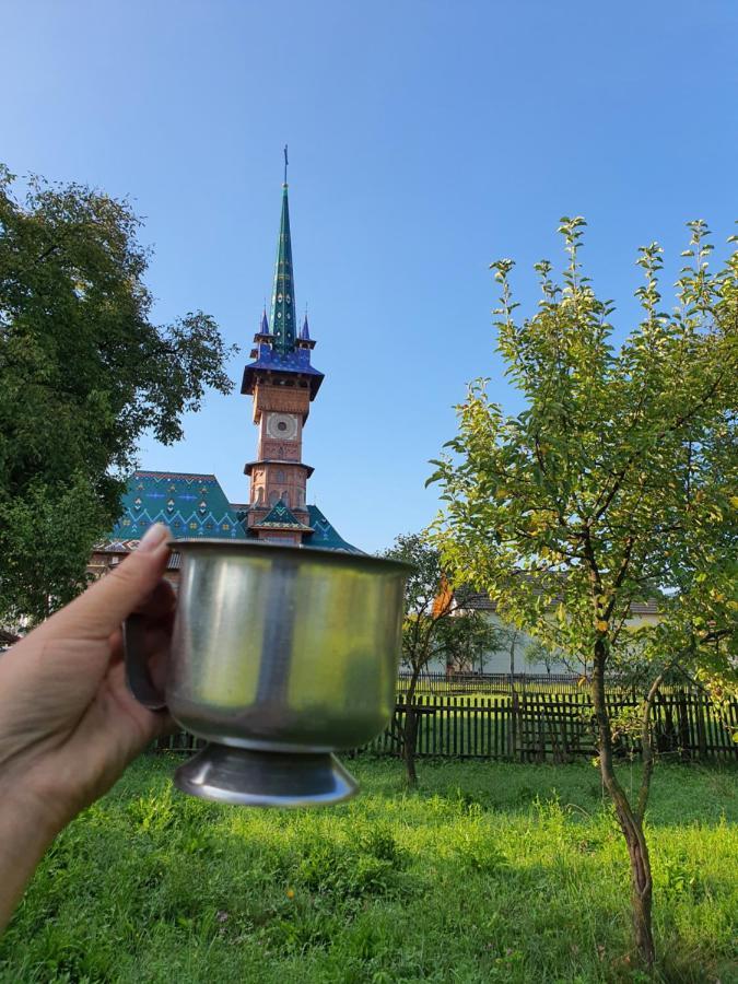 La Romaneasa Săpînţa エクステリア 写真
