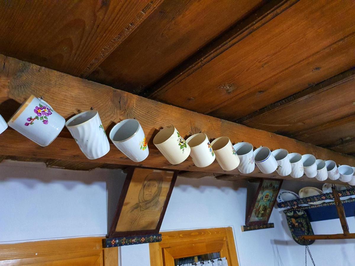La Romaneasa Săpînţa エクステリア 写真