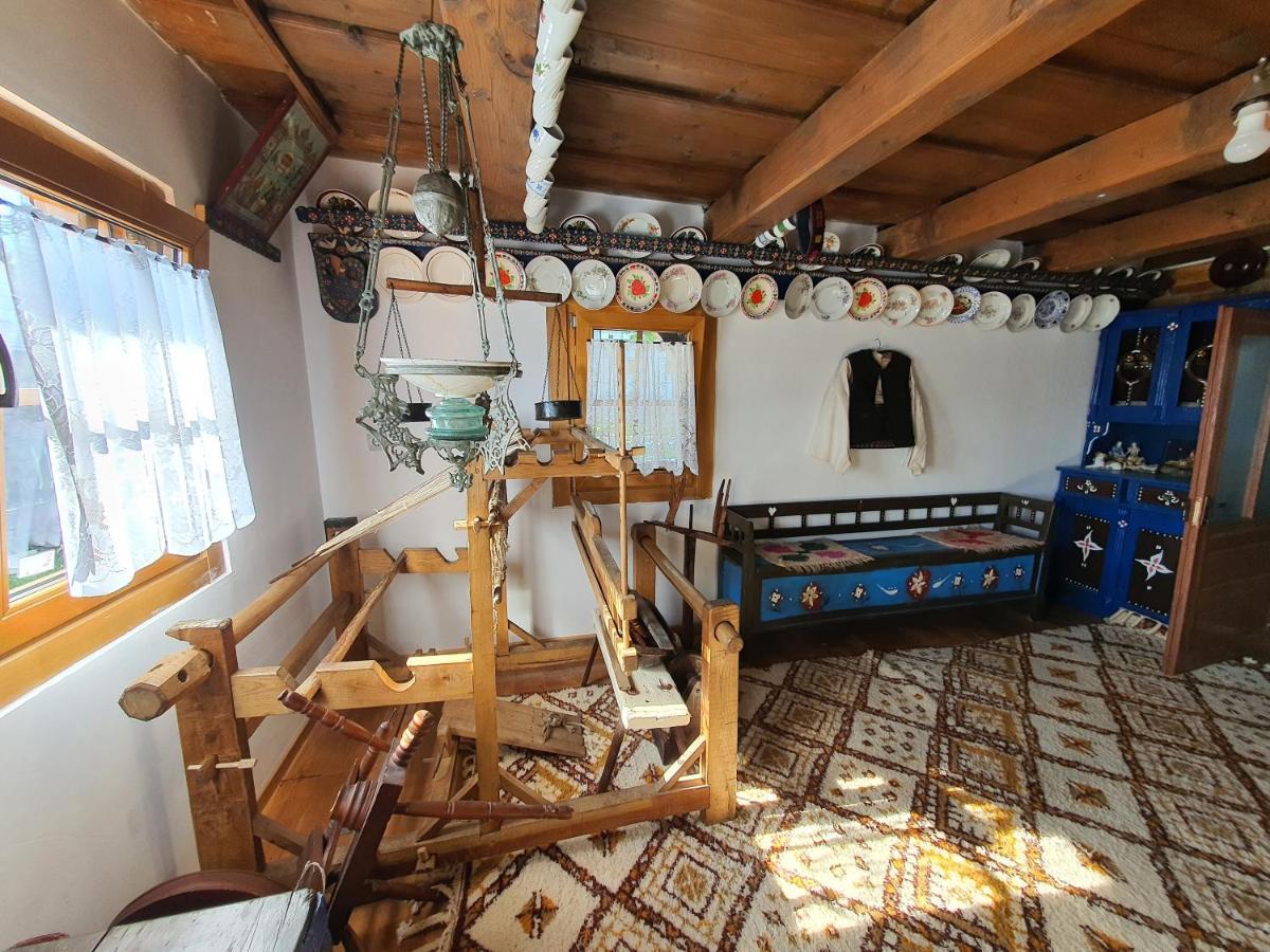 La Romaneasa Săpînţa エクステリア 写真