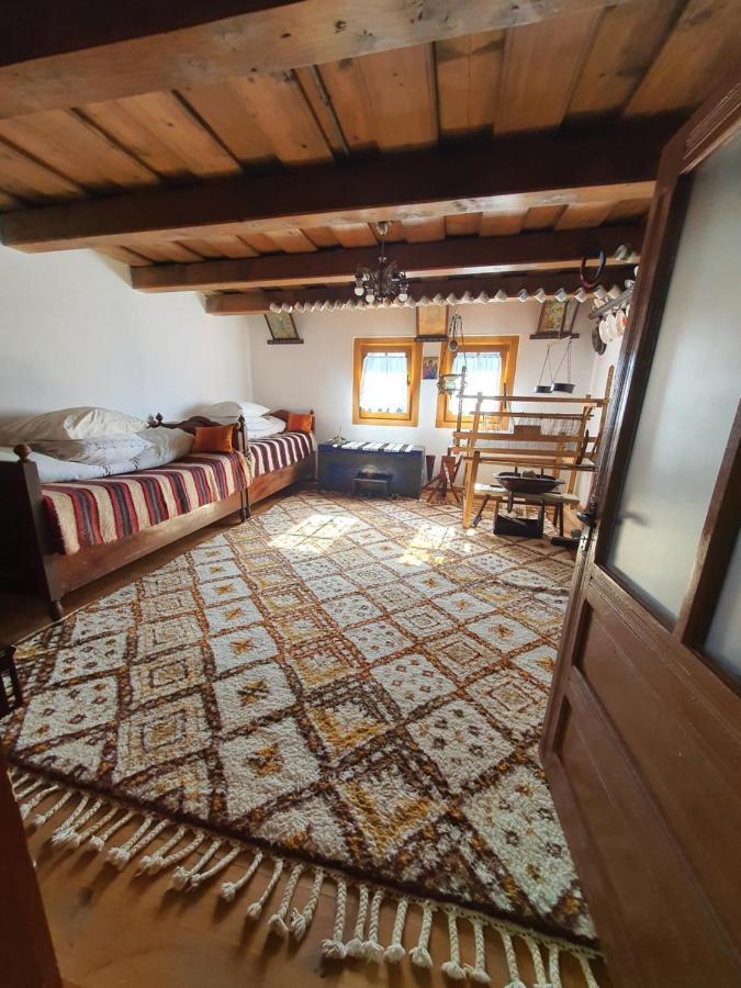 La Romaneasa Săpînţa エクステリア 写真