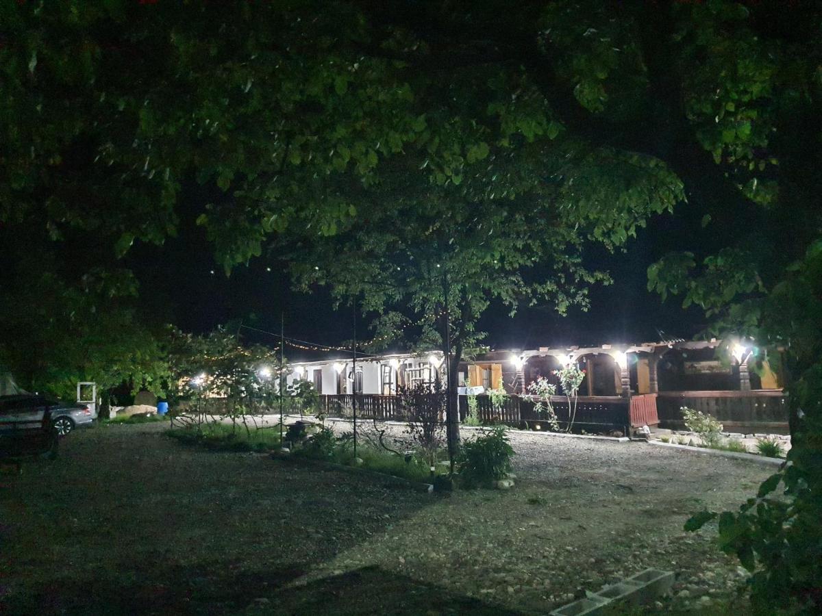 La Romaneasa Săpînţa エクステリア 写真