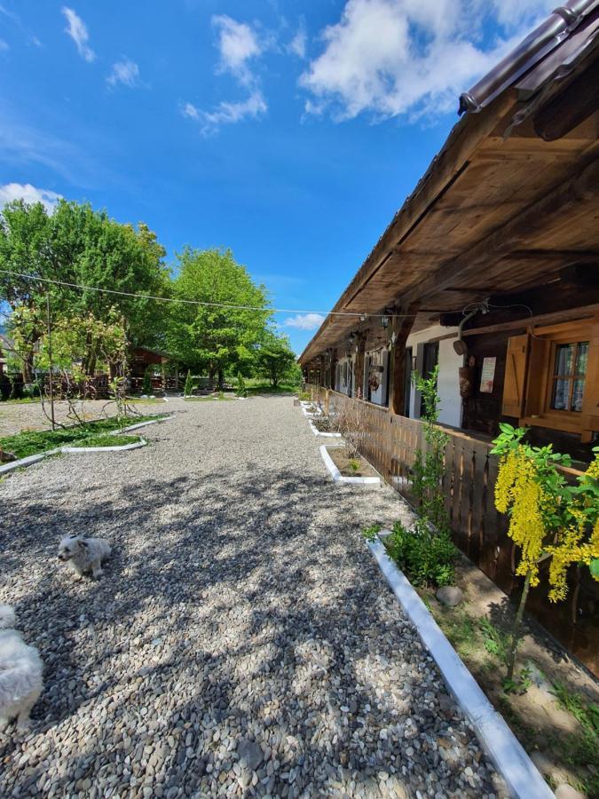 La Romaneasa Săpînţa エクステリア 写真