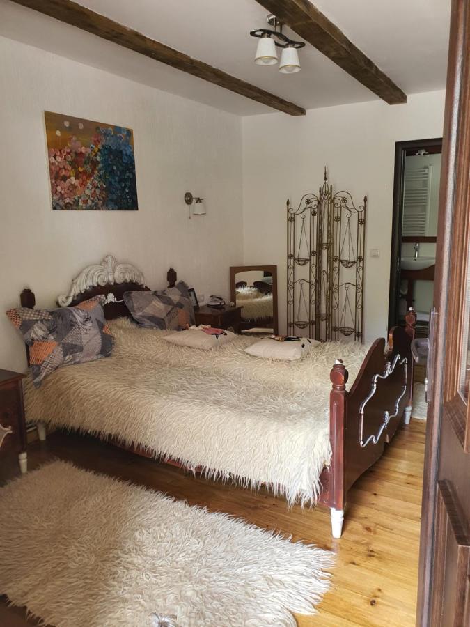 La Romaneasa Săpînţa エクステリア 写真