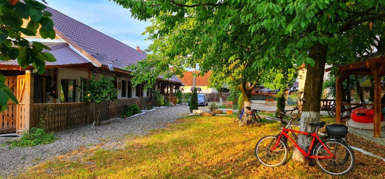 La Romaneasa Săpînţa エクステリア 写真
