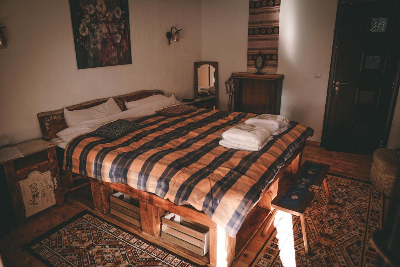La Romaneasa Săpînţa エクステリア 写真