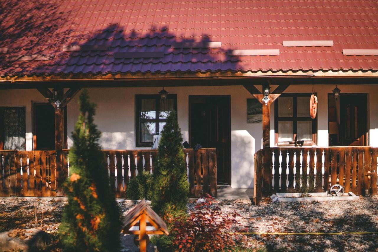 La Romaneasa Săpînţa エクステリア 写真