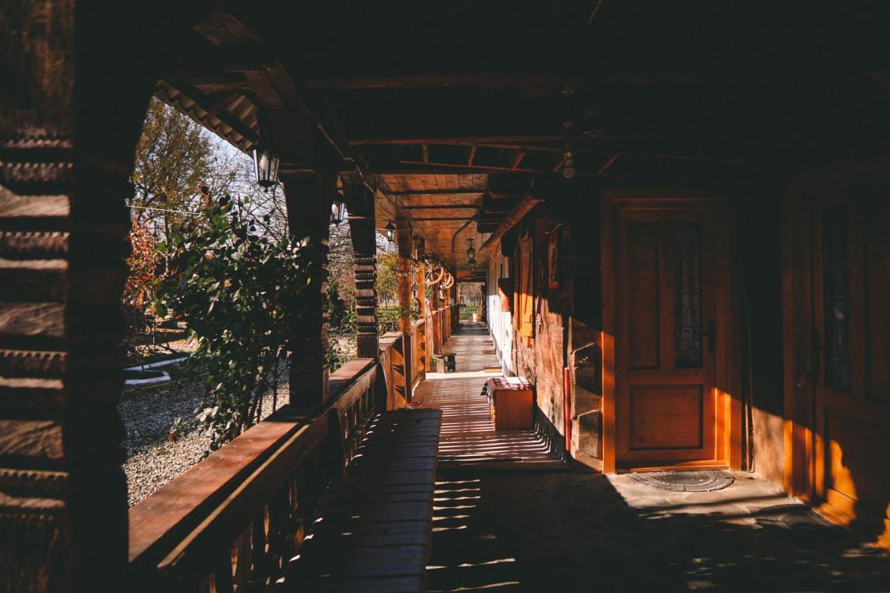 La Romaneasa Săpînţa エクステリア 写真