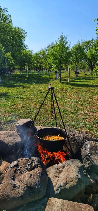 La Romaneasa Săpînţa エクステリア 写真