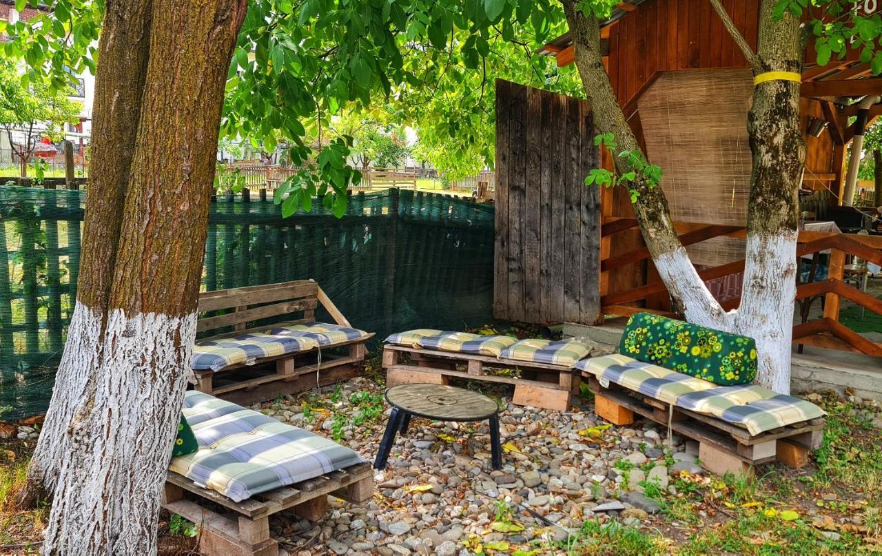 La Romaneasa Săpînţa エクステリア 写真