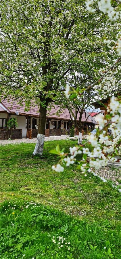 La Romaneasa Săpînţa エクステリア 写真