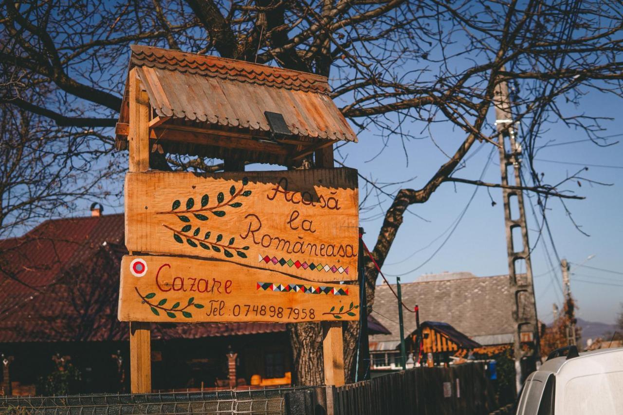 La Romaneasa Săpînţa エクステリア 写真